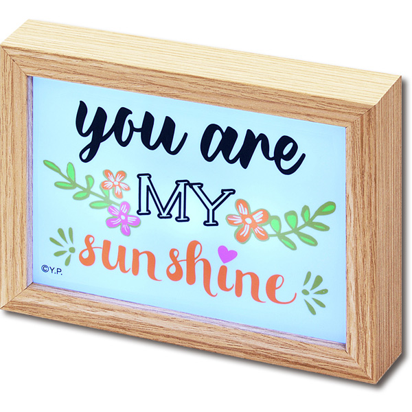 アートフレーム LED 木製ボックスフレーム 〜ヒーリング シリーズ〜「ナップ クイーン（Sサイズ）」/インテリア 額入り 額装込  アートパネル  モダン アートフレーム 飾る Sサイズ 