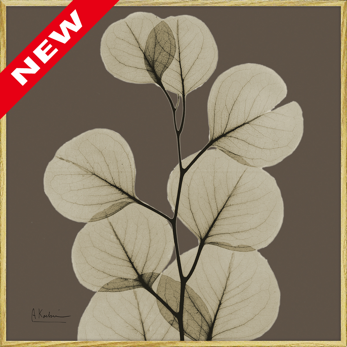 X RAY キャンバスアート「リーフ ブラウン1（スクエアS）」