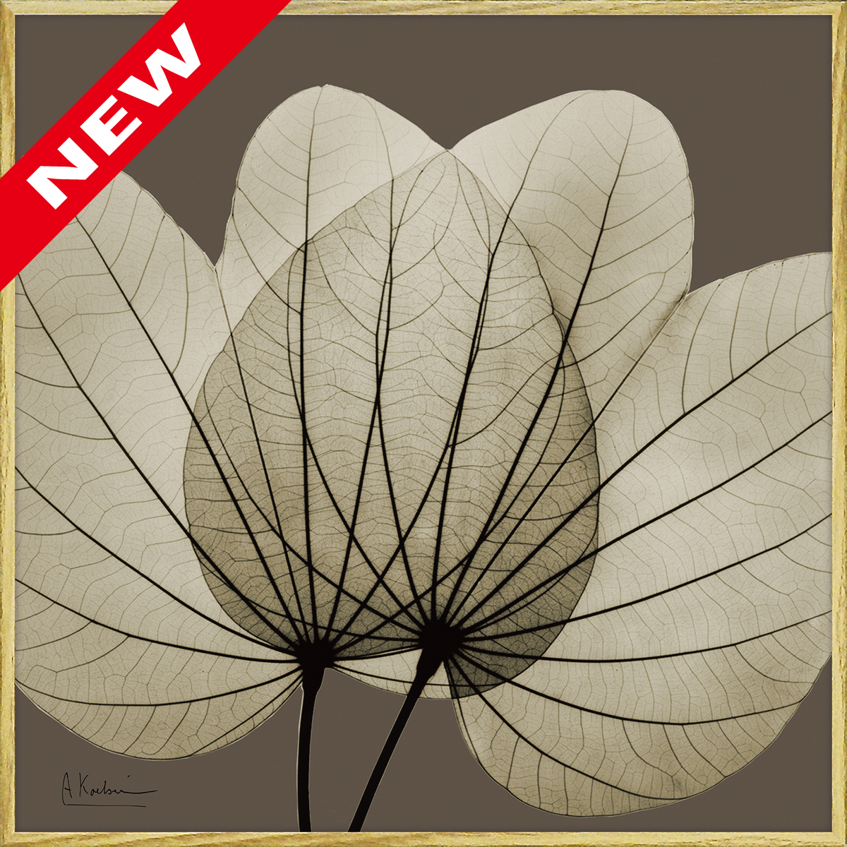 X RAY キャンバスアート「リーフ ブラウン2（スクエアS）」