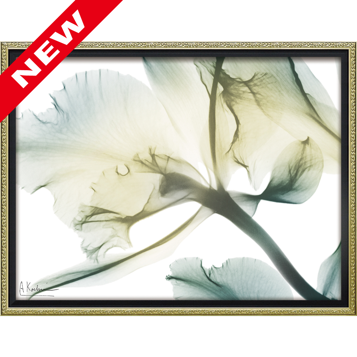 X RAY キャンバスアート「ファミリア ロマンス（Mサイズ）」