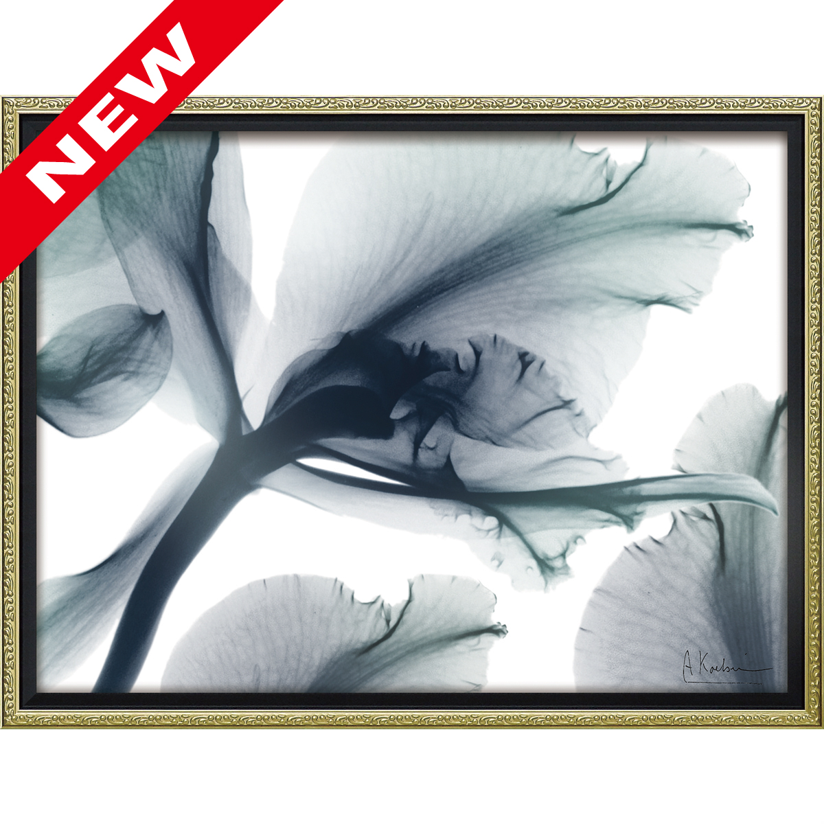 X RAY キャンバスアート「エバーラスティング フラワー（Mサイズ）」