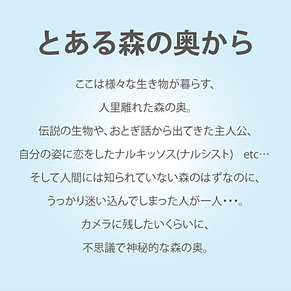 なかの まりの「とある森の奥から(Lサイズ)」 | ユーパワー オンライン